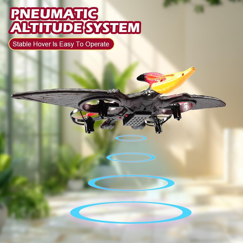 RC Plane Pterosaur 2.4G 6-Axis – Drone Battery Alarm Bewertung und Preis