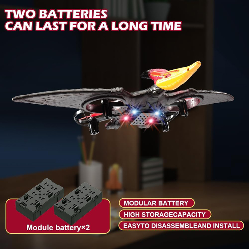 RC Plane Pterosaur 2.4G 6-Axis – Drone Battery Alarm Bewertung und Preis